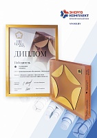 I место в конкурсе на лучшую постановку работы с молодежью